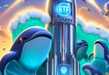 AltcoinBeacon